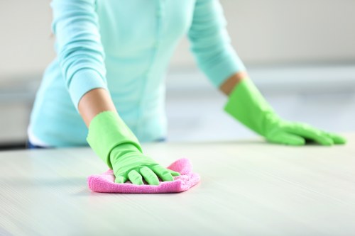 Risk assessment being completed before a cleaning task begins