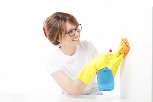 Regular domestic cleaning schedule for Edgware homes
