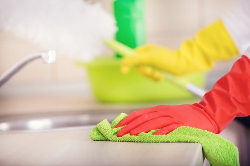 Oven and appliance cleaning during move-out cleaning in Edgware