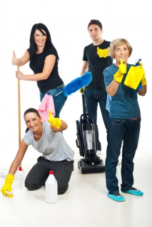 Household Supplies For Mold Removal